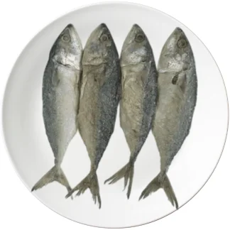 Salted Dry Fishes Previews